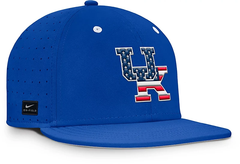 Nike University of Kentucky American Flag Primary Logo DF True Structured Aero Bill Cap