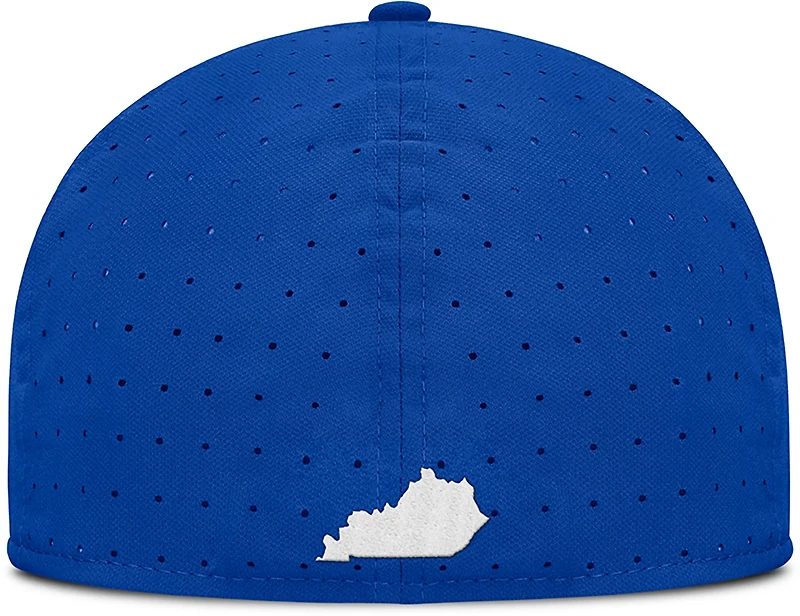 Nike University of Kentucky American Flag Primary Logo DF True Structured Aero Bill Cap