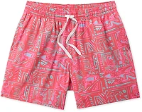 Chubbies Men's The Pyramid Poolsides Classic Swim Trunks 5.5