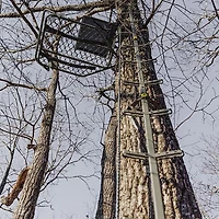 Summit 30' Safety Lines 3-Pack