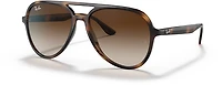 Ray-Ban Adults' RB4376 Sunglasses