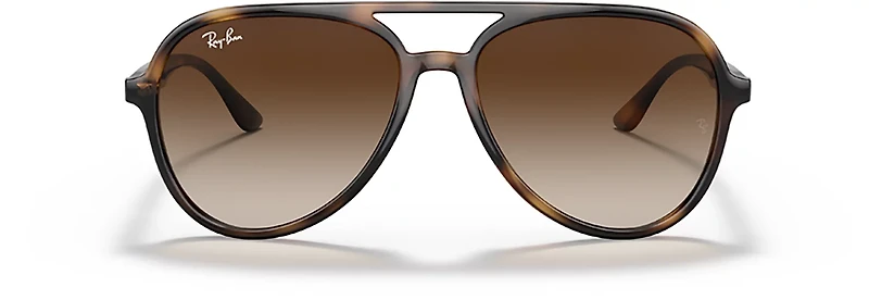 Ray-Ban Adults' RB4376 Sunglasses
