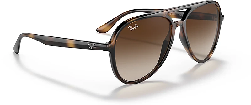 Ray-Ban Adults' RB4376 Sunglasses