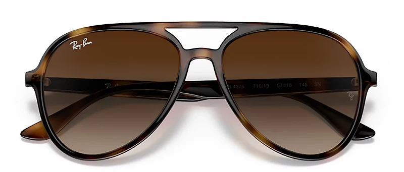 Ray-Ban Adults' RB4376 Sunglasses