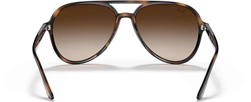Ray-Ban Adults' RB4376 Sunglasses