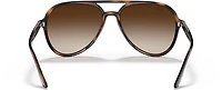 Ray-Ban Adults' RB4376 Sunglasses