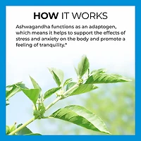 Vitamin World Ashwagandha Gummies 60-count