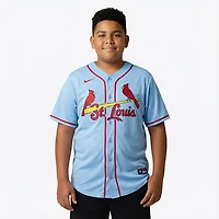 Nike Men's St. Louis Cardinals Blank Official Replica Alternate Jersey