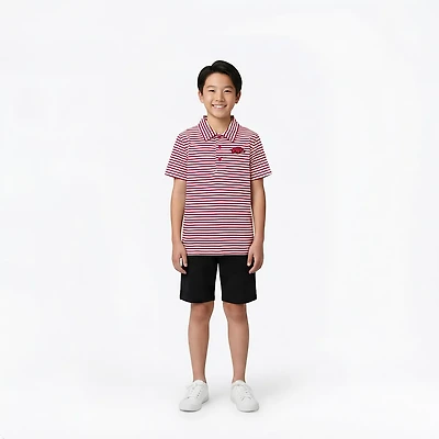 Atlanta Hosiery Company Boys' University of Arkansas Stripe Polo Shirt