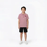 Atlanta Hosiery Company Boys' University of Arkansas Stripe Polo Shirt