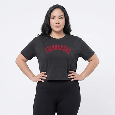 Under Armour Women's Chihuahuas 5-4-3 Triple Play All Day T-shirt