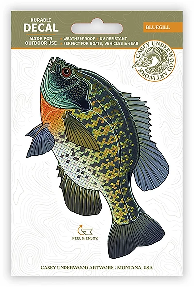 Casey Underwood Bluegill Decal