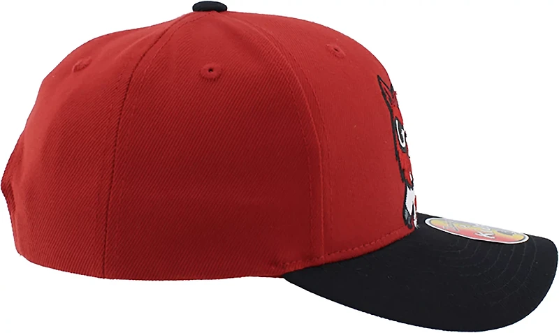 Zephyr Youth Arkansas Cartoon Mascot Adjustable Cap