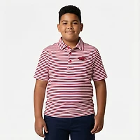 Atlanta Hosiery Company Boys' University of Arkansas Stripe Polo Shirt