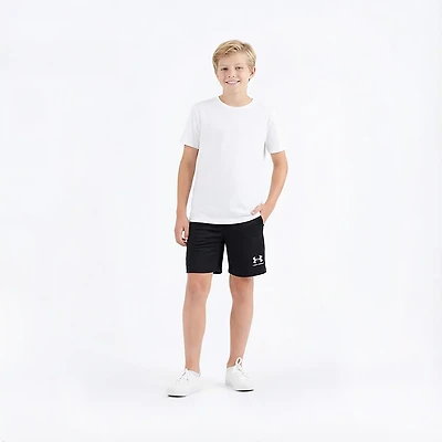 Under Armour Boys' Challenger Core Shorts