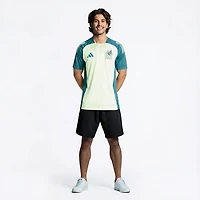 adidas Men's FMF Mexico Training Jersey