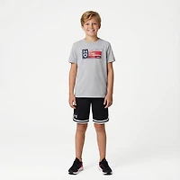 Under Armour Boys' Baseball Dingers Short Sleeve T-shirt