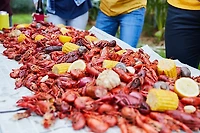 Louisiana Fish Fry Products 4.5 lb. Crawfish/Crab/Shrimp Boil