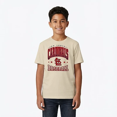 Outerstuff Youth Cardinals Batter's Box T-shirt