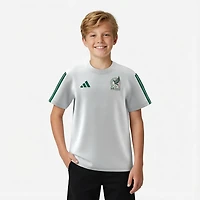 adidas Kids' Mexico 2026 World Cup DNA Graphic T-shirt