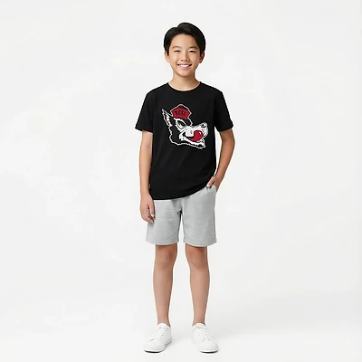 Wes & Willy Youth NC State Vault Logo T-shirt