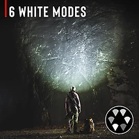 Coast FLX10R Headlamps 2-Pack