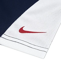 Nike Boys' 4-7 Baseball Graphic T-shirt and Mesh Shorts Set