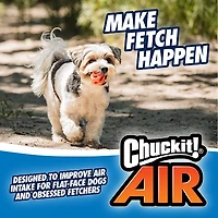 Chuckit! Air Fetch Balls 2-Pack