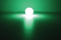 Chuckit! Max Glow Fetch Ball