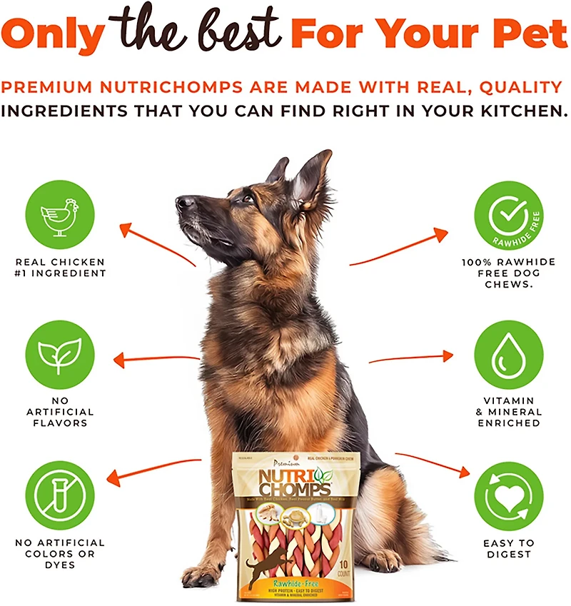 Nutri Chomps 6 in. Mixed Flavor Braids 10-count