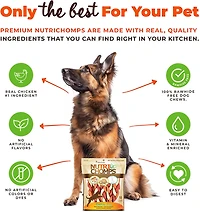 Nutri Chomps 6 in. Mixed Flavor Braids 10-count