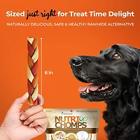 Nutri Chomps 6 in. Mixed Flavor Braids 10-count