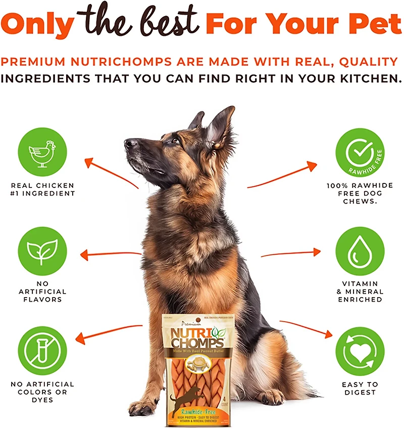 Nutri Chomps 6 in. Peanut Butter Flavor Braids 4-count