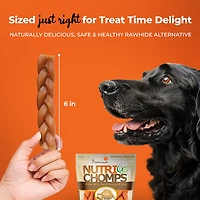 Nutri Chomps 6 in. Peanut Butter Flavor Braids 4-count