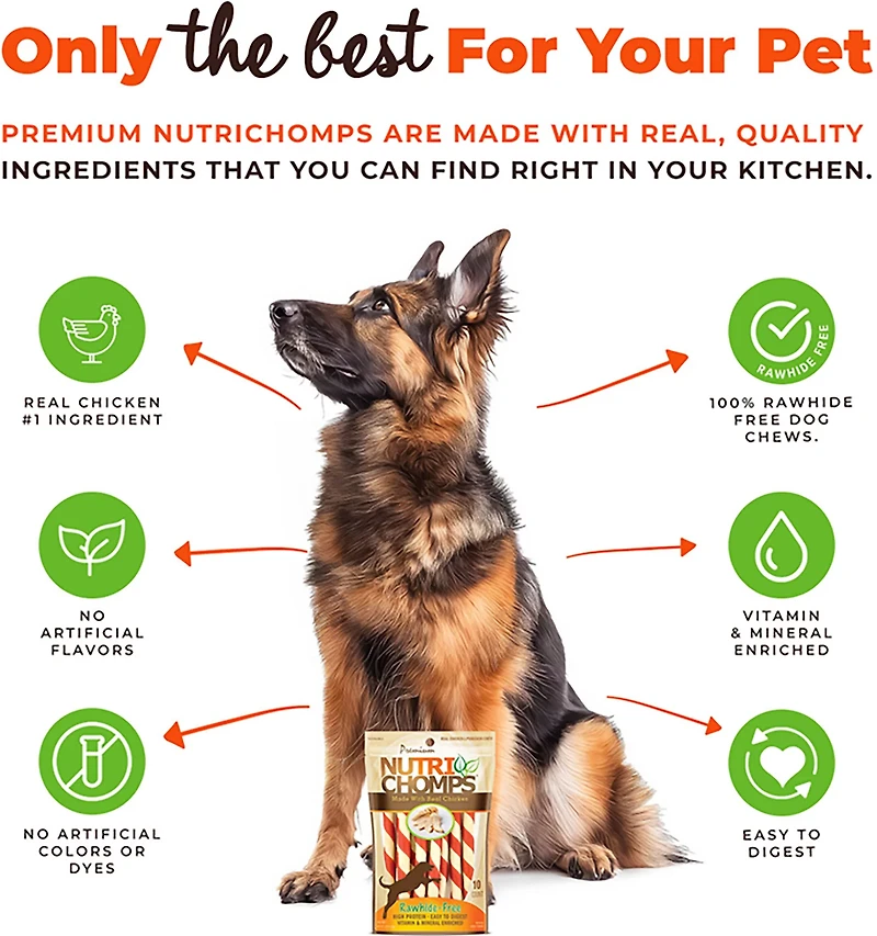 Nutri Chomps Chicken Flavored Mini Twists 10-count