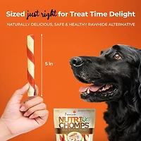 Nutri Chomps Chicken Flavored Mini Twists 10-count