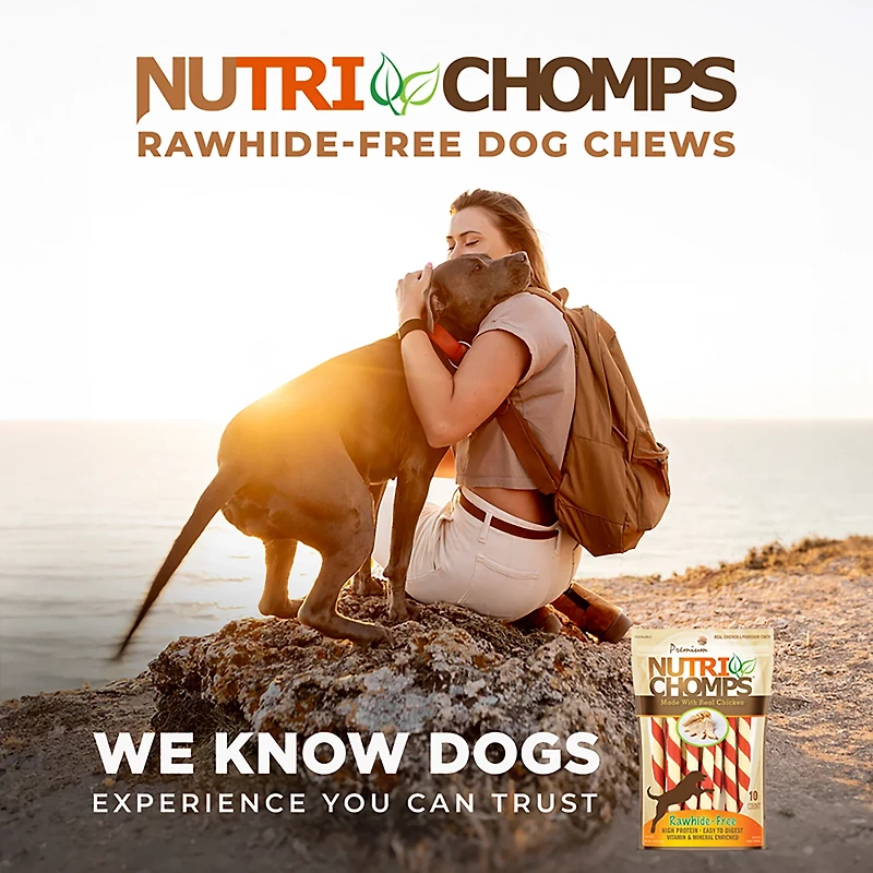 Nutri Chomps Chicken Flavored Mini Twists 10-count