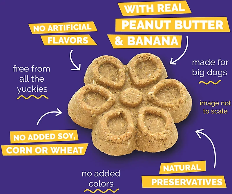 Fruitables Biggies 16 oz. Dog Treats