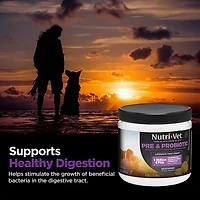 Nutrivet K9 Pre & Probiotic Soft Chews 120-Pack
