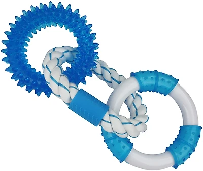 Multipet 11-inch Medium Clean Rings Peppermint Dental Dog Toy