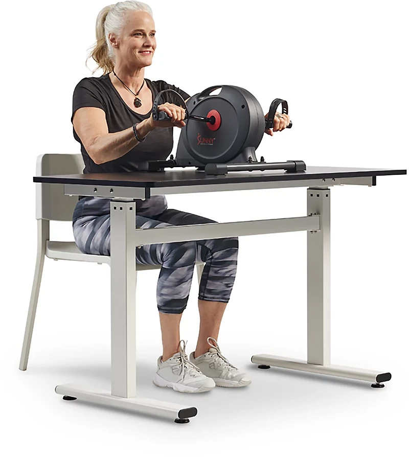 Sunny Health & Fitness Smart Mini Exercise Bike