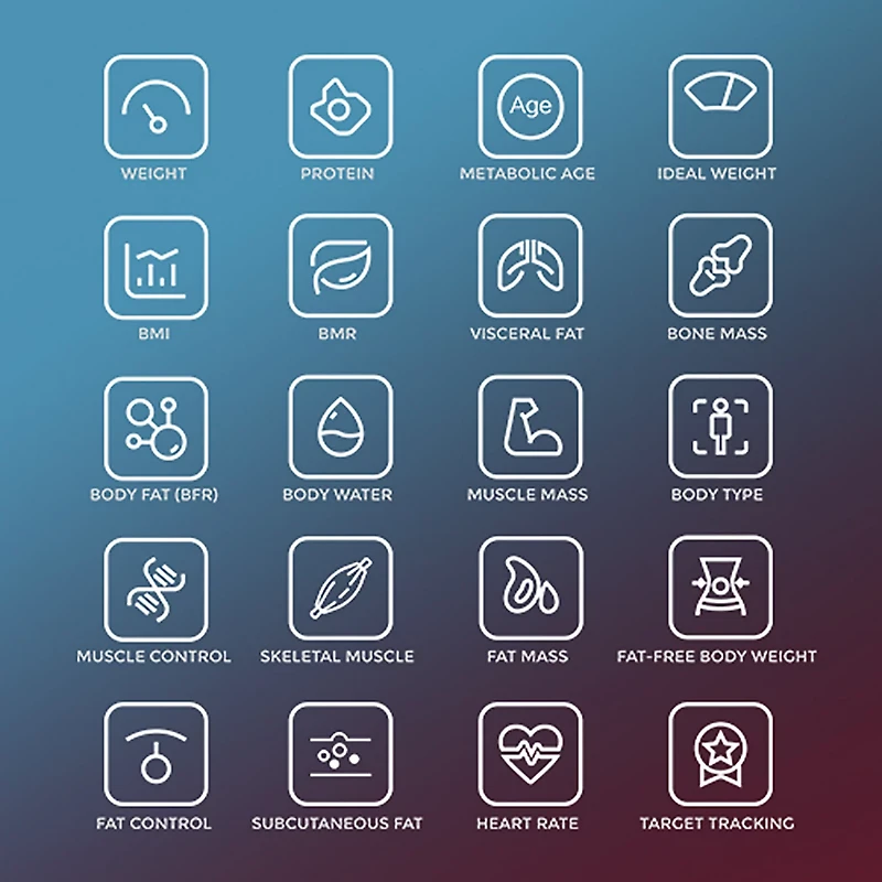 Sunny Health & Fitness Composition BMI Smart Fitness Scale