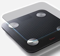 Sunny Health & Fitness Composition BMI Smart Fitness Scale