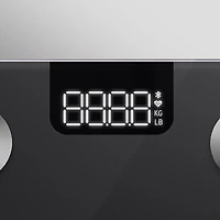 Sunny Health & Fitness Composition BMI Smart Fitness Scale