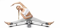 Sunny Health & Fitness Leg Stretch Machine