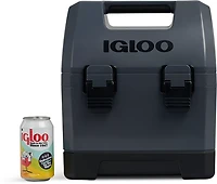 Igloo Coolbox 10 qt Cooler