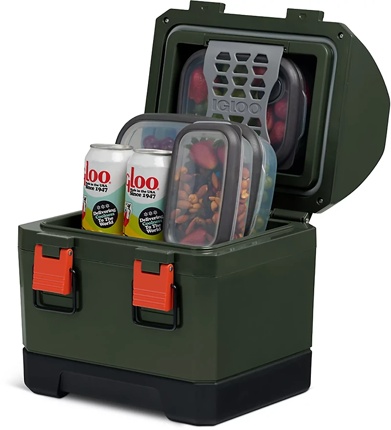 Igloo Coolbox 10 qt Cooler