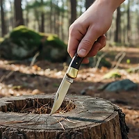 Buck Knives 110 Folding Hunter® Knife