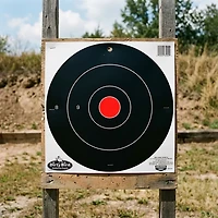 Birchwood Casey Dirty Bird 12-in Bull's-Eye Target Sheets 12-Pack