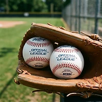 Rawlings High School Baseballs 2-Pack